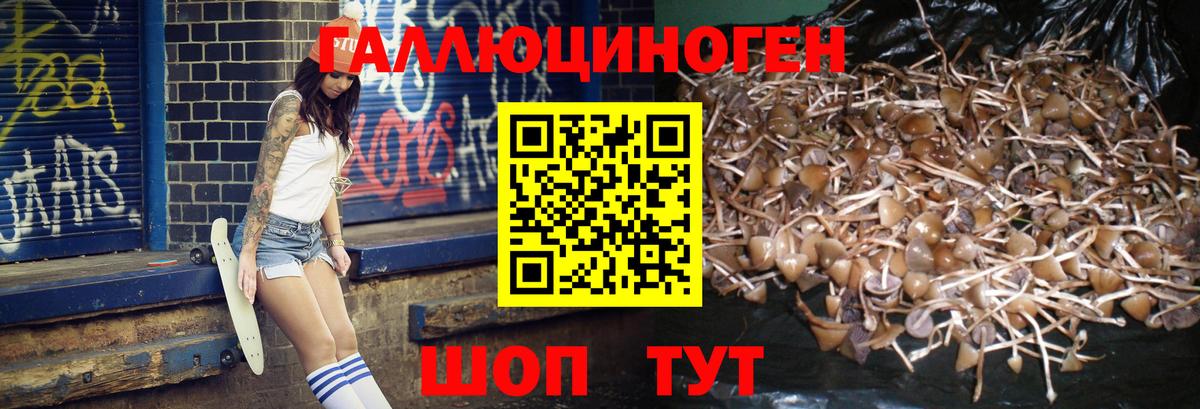 Псилоцибиновые грибы GOLDEN TEACHER Всеволожск