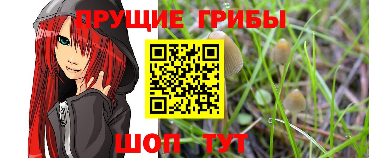 Всеволожск  Галлюциногенные грибы мицелий  Вход с VPN 
